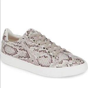 Topshop Cola Sneaker